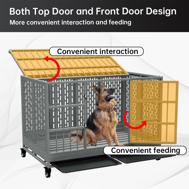 Large rac dog crate fashion